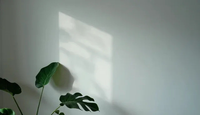 地区推广:宣传片制作如何适配不同区域特性